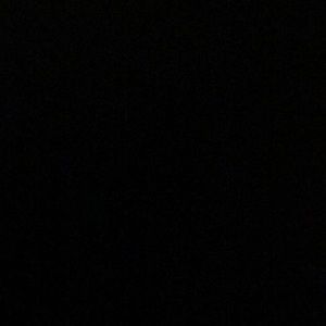 Meet your Posher, Lily